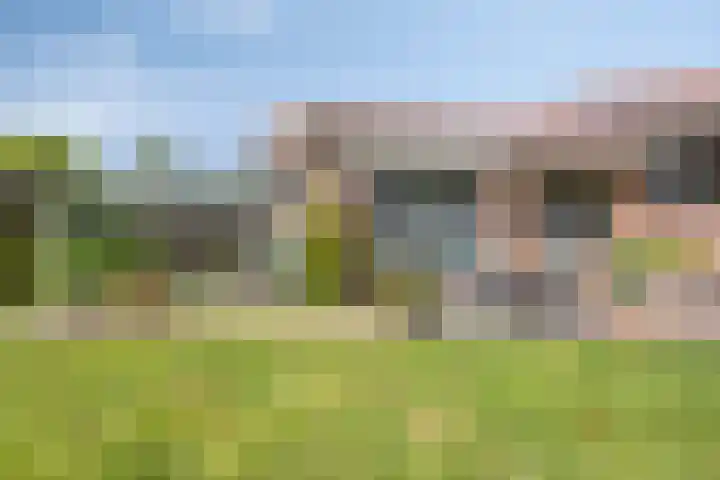 Westeinde 352 Berkhout thumbnail 39