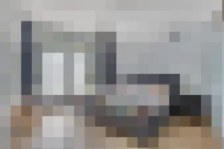 Westeinde 352 Berkhout thumbnail 4