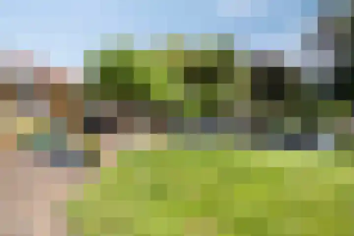 Westeinde 352 Berkhout thumbnail 40
