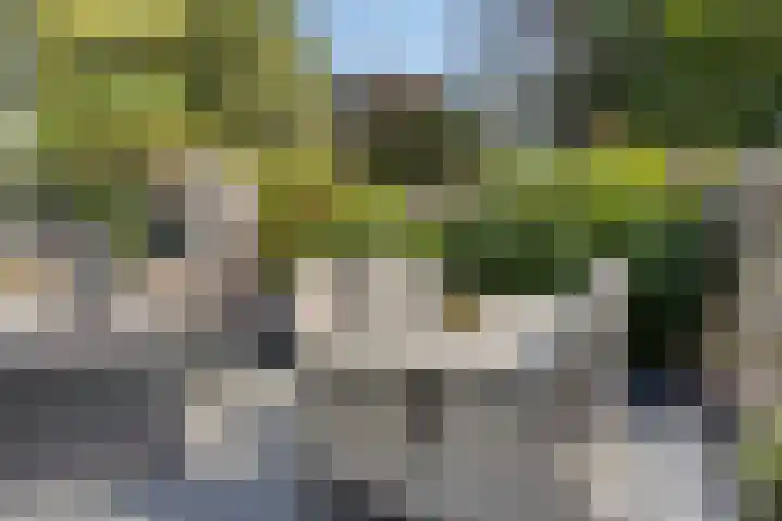 Westeinde 352 Berkhout thumbnail 42