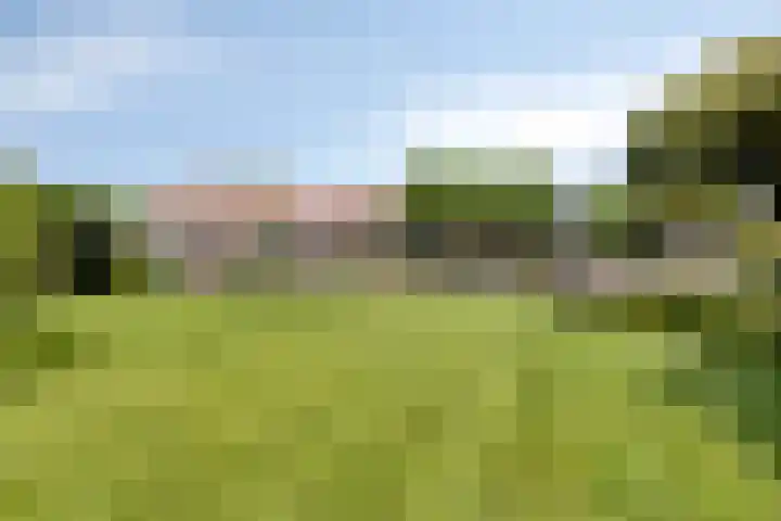 Westeinde 352 Berkhout thumbnail 43