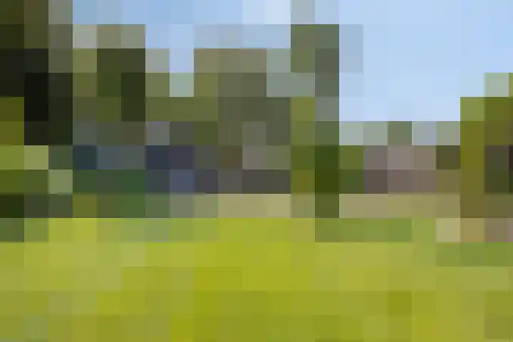 Westeinde 352 Berkhout thumbnail 45