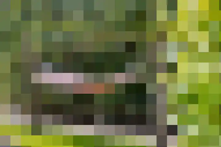 Westeinde 352 Berkhout thumbnail 46