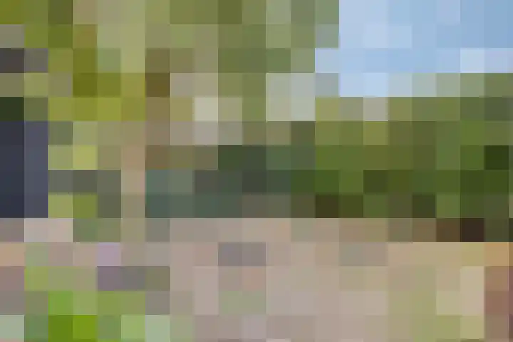 Westeinde 352 Berkhout thumbnail 47