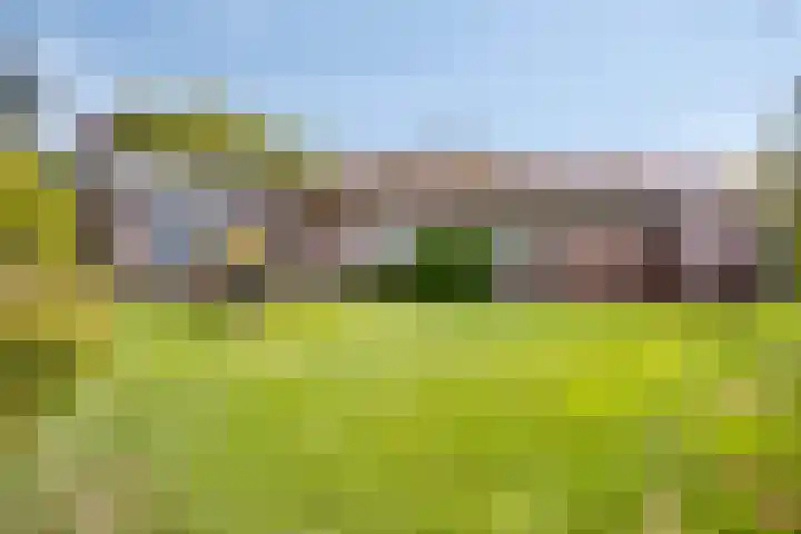 Westeinde 352 Berkhout thumbnail 49