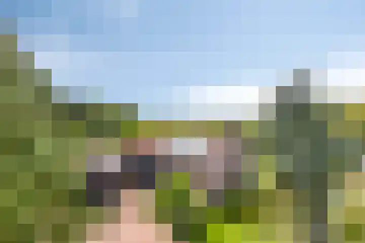 Westeinde 352 Berkhout thumbnail 52