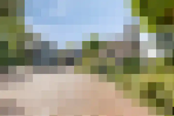 Westeinde 352 Berkhout thumbnail 53