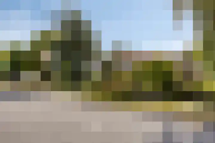 Westeinde 352 Berkhout thumbnail 55