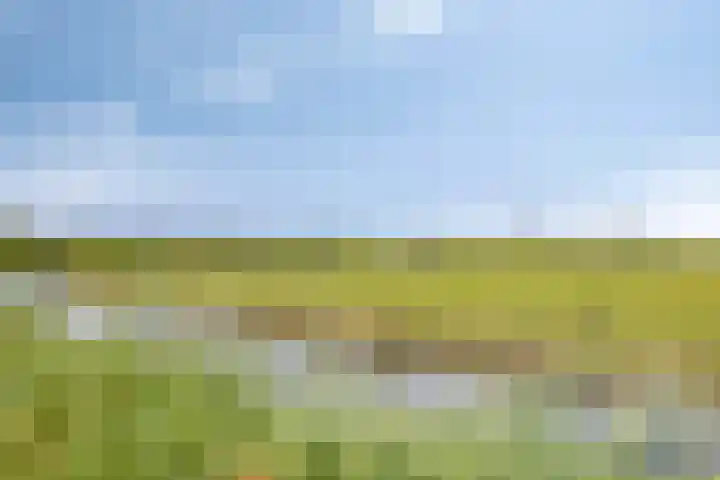 Westeinde 352 Berkhout thumbnail 56