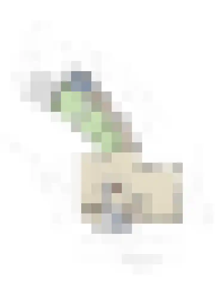 Westeinde 352 Berkhout thumbnail 58