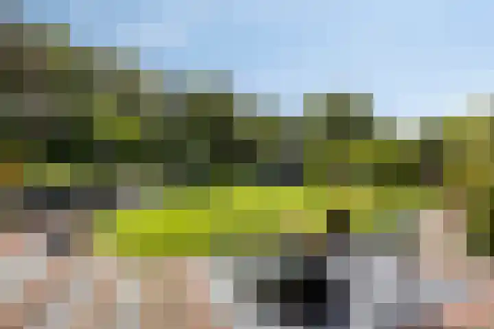 Westeinde 352 Berkhout thumbnail 6