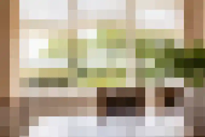 Westeinde 358 De Goorn thumbnail 18