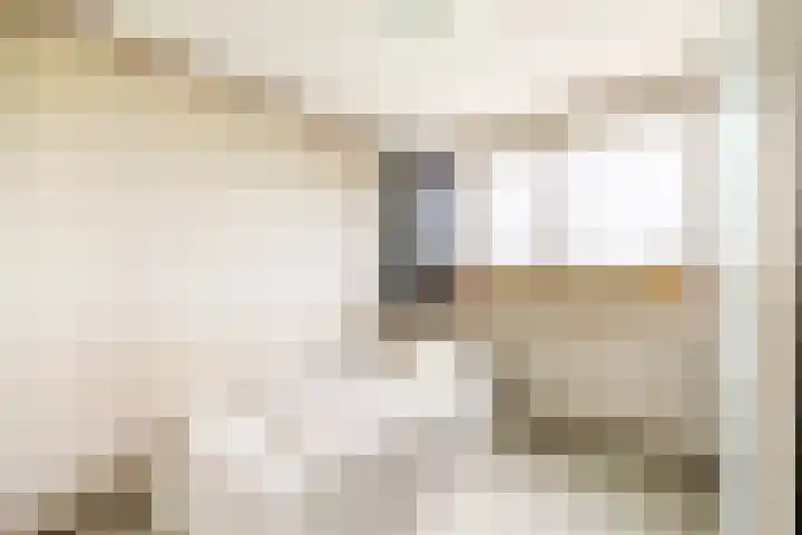 Westeinde 358 De Goorn thumbnail 34