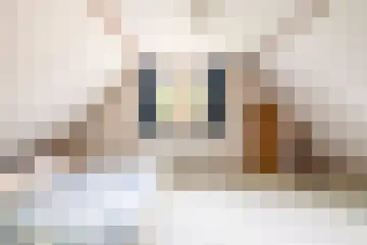 Westeinde 358 De Goorn thumbnail 36
