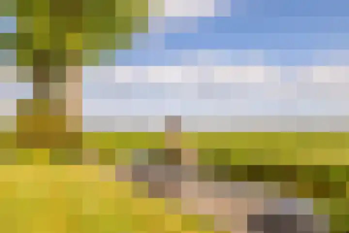 Westeinde 358 De Goorn thumbnail 4