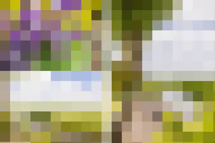 Westeinde 358 De Goorn thumbnail 43