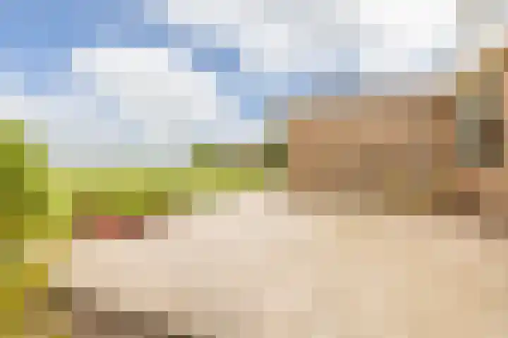 Westeinde 358 De Goorn thumbnail 44