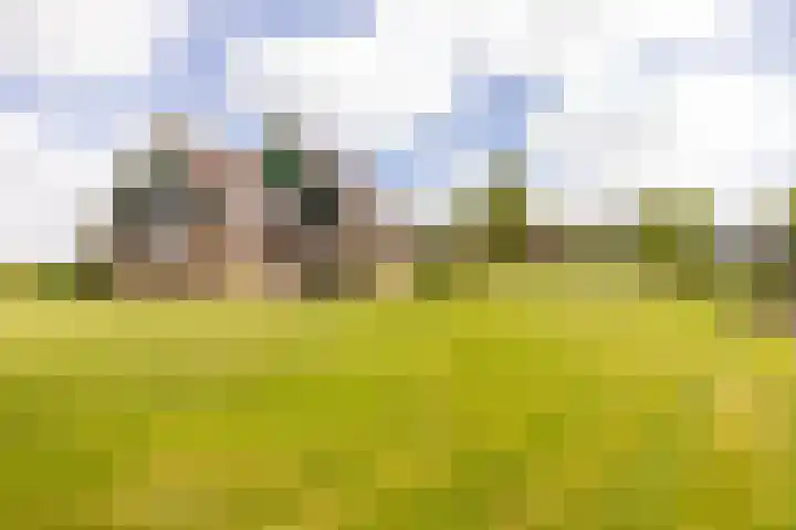 Westeinde 358 De Goorn thumbnail 46