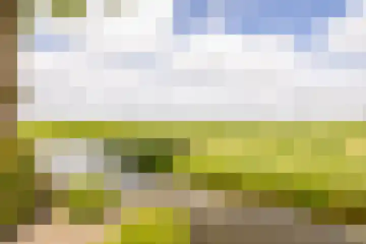 Westeinde 358 De Goorn thumbnail 48