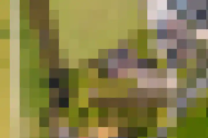 Westeinde 358 De Goorn thumbnail 5