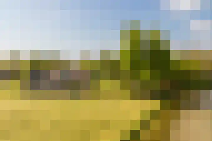 Westeinde 358 De Goorn thumbnail 50