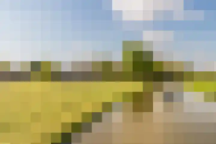 Westeinde 358 De Goorn thumbnail 51
