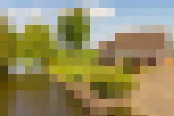 Westeinde 358 De Goorn thumbnail 52