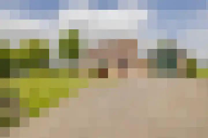 Westeinde 358 De Goorn thumbnail 6