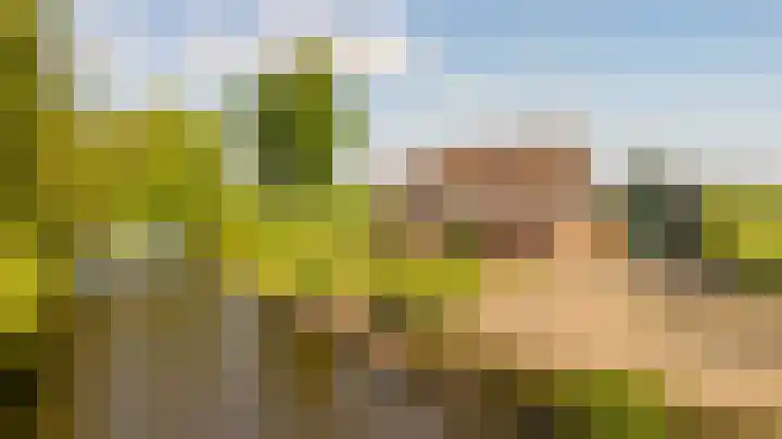 Westeinde 358 De Goorn thumbnail 60
