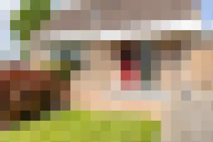Westeinde 358 De Goorn thumbnail 7