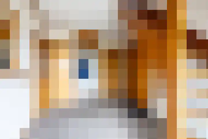 Westeinde 358 De Goorn thumbnail 9