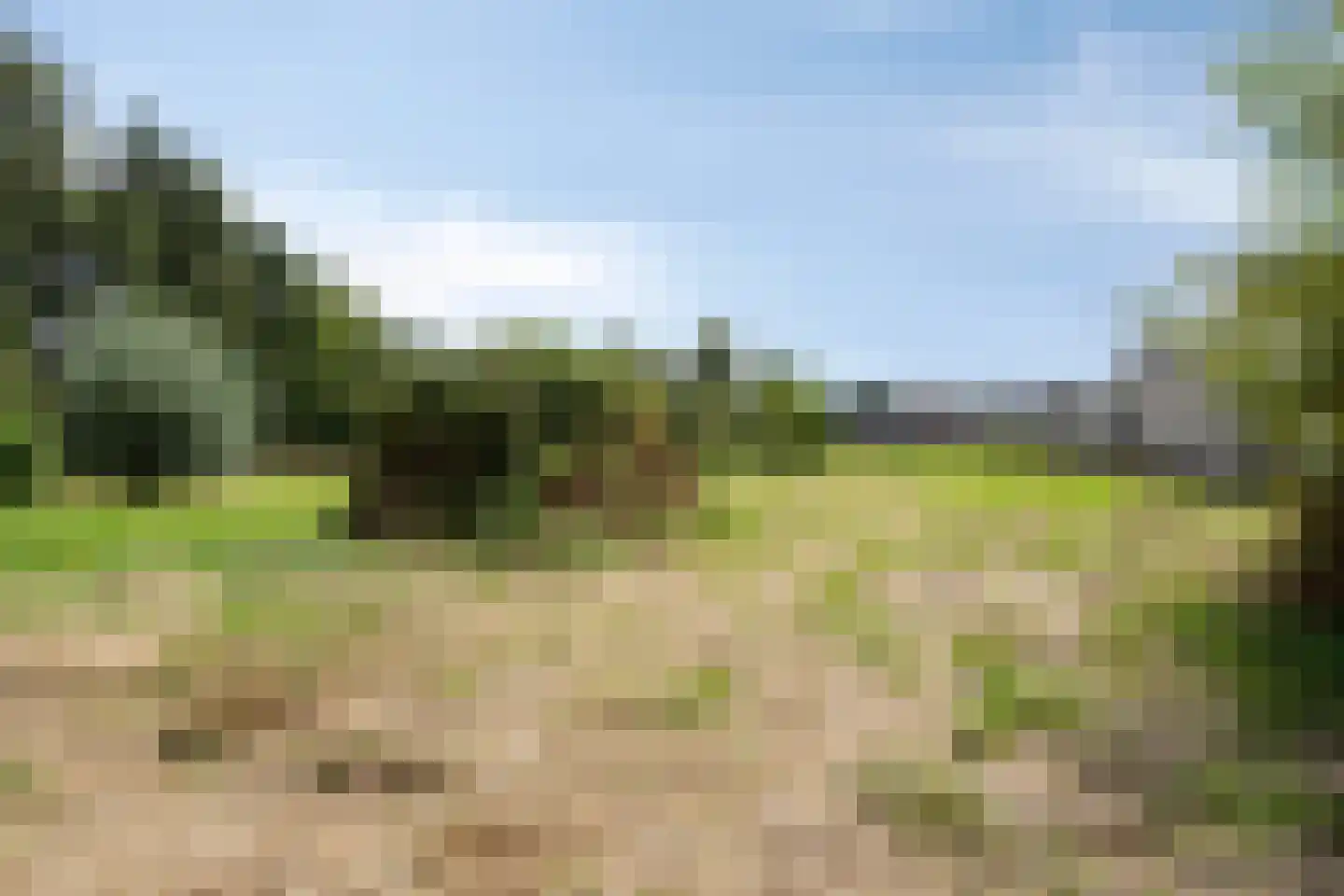 Westeinde 36 a Waalwijk thumbnail 25