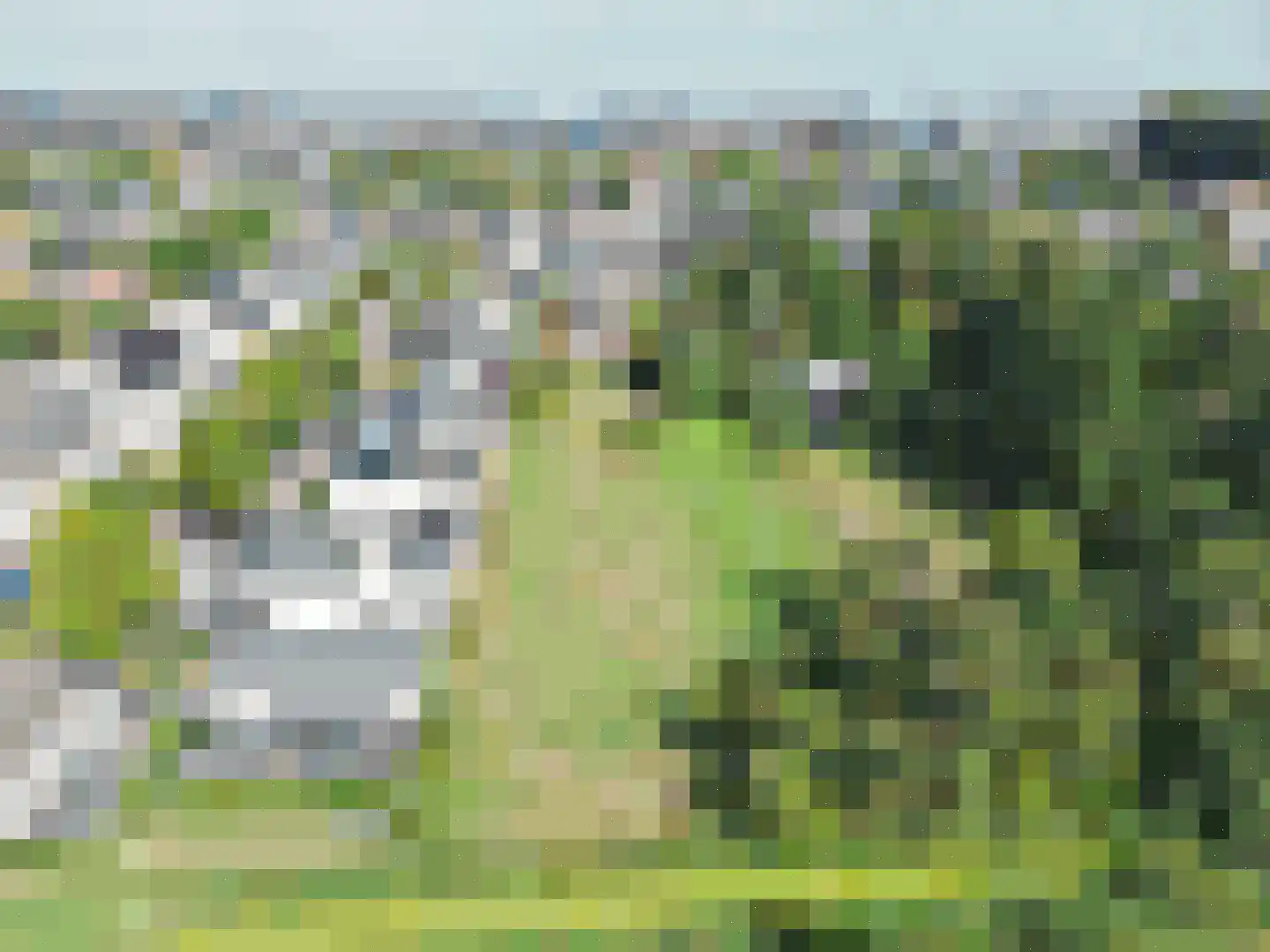 Westeinde 36 a Waalwijk foto 3