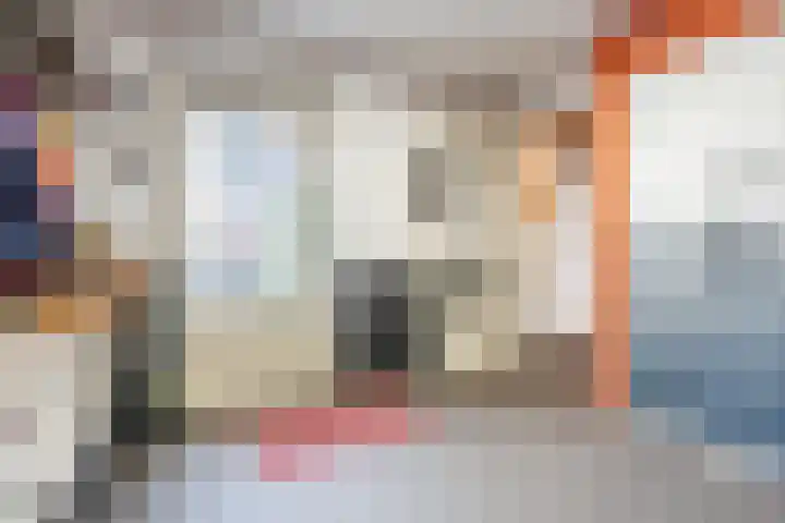 Westeinde 36 Nieuwleusen thumbnail 34