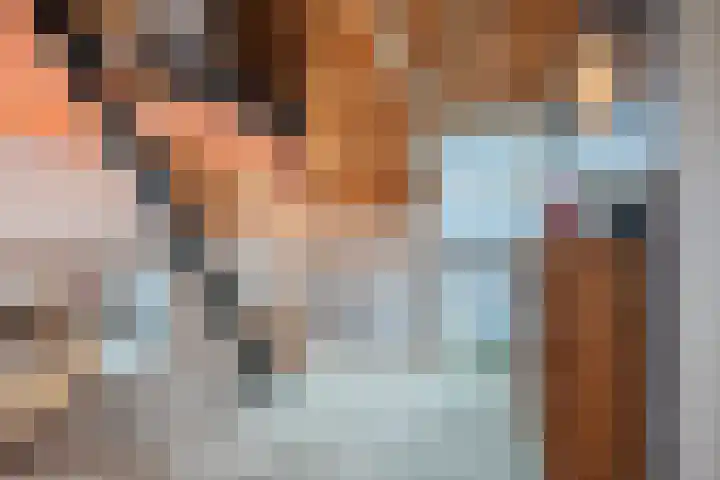 Westeinde 36 Nieuwleusen thumbnail 41