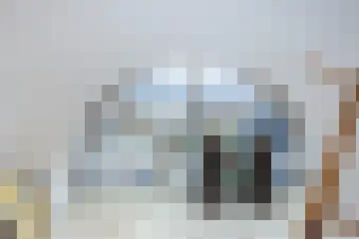 Westeinde 36 Nieuwleusen thumbnail 45