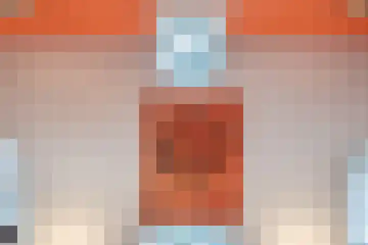 Westeinde 36 Nieuwleusen thumbnail 53