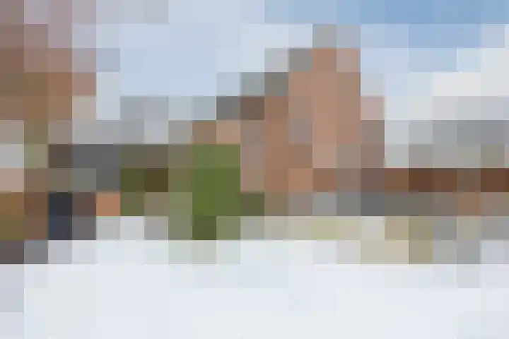 Westeinde 36 Nieuwleusen thumbnail 57