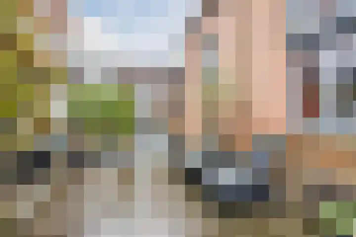 Westeinde 36 Nieuwleusen thumbnail 60