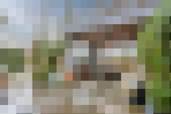 Westeinde 36 Nieuwleusen thumbnail 61