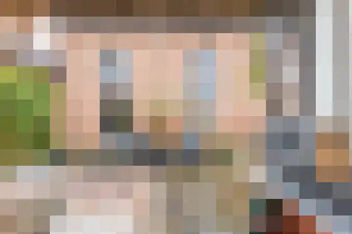 Westeinde 36 Nieuwleusen thumbnail 63