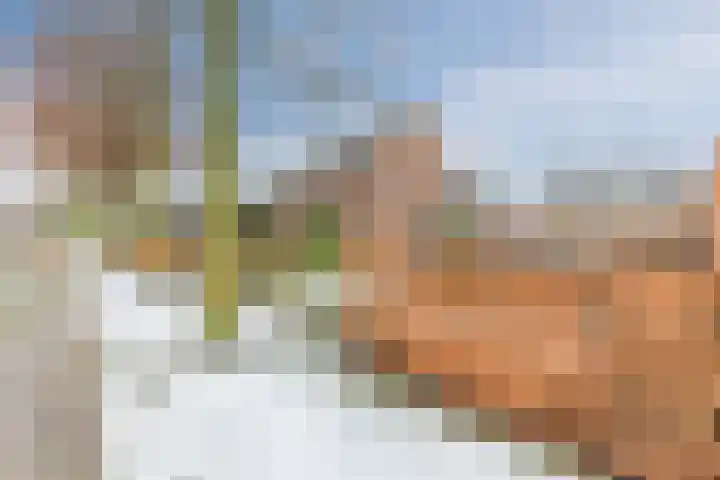 Westeinde 36 Nieuwleusen thumbnail 71