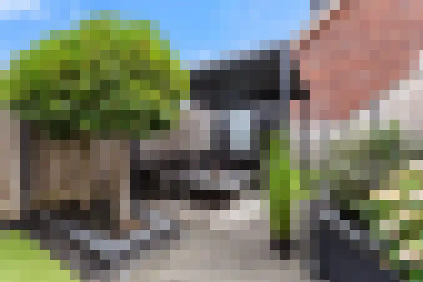 Westeinde 37 Broek op Langedijk thumbnail 28