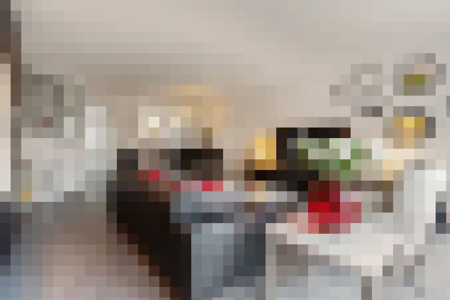 Westeinde 37 Broek op Langedijk thumbnail 9