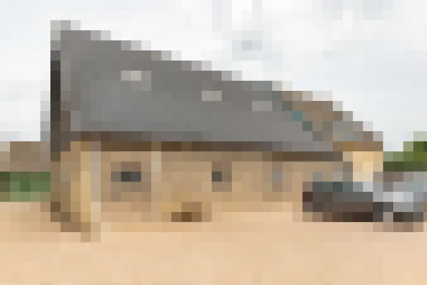 Westeinde 37 Oud-Alblas thumbnail 14