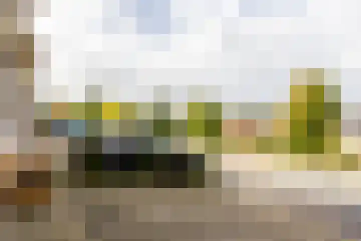 Westeinde 38 Moordrecht thumbnail 43