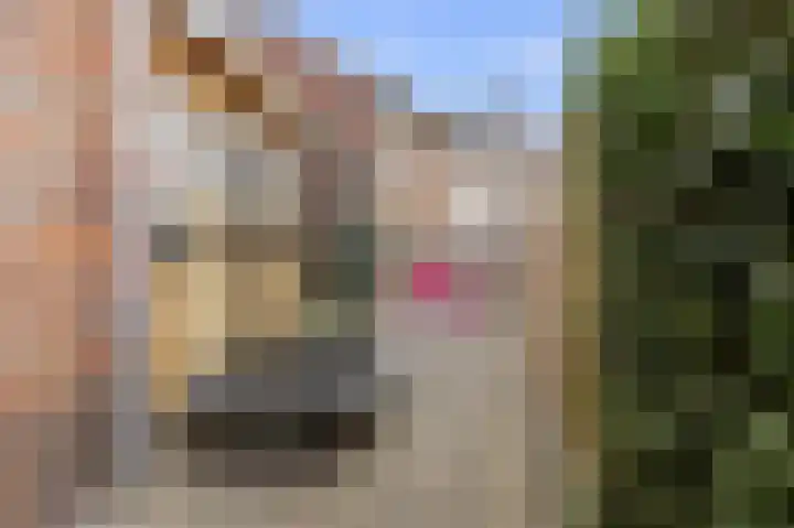 Westeinde 39 Broek op Langedijk thumbnail 38