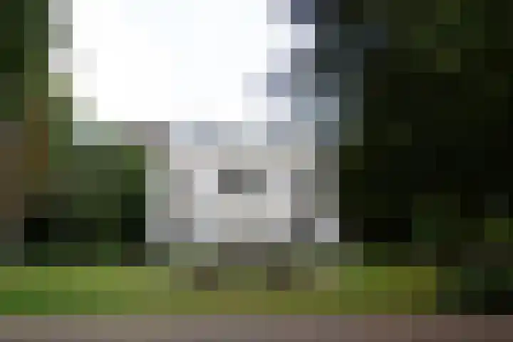 Westeinde 4 A Voorburg thumbnail 15