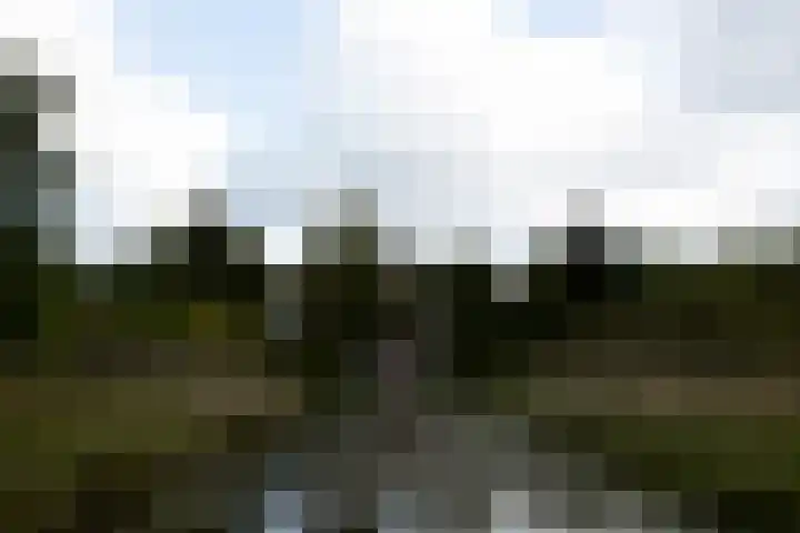 Westeinde 4 B Voorburg thumbnail 13