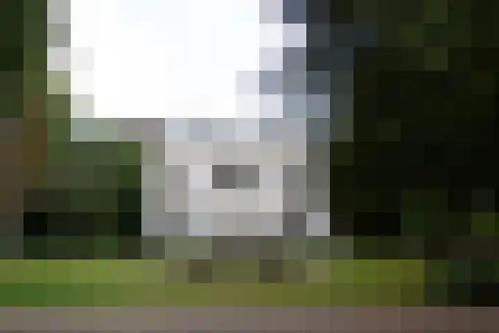 Westeinde 4 B Voorburg thumbnail 15